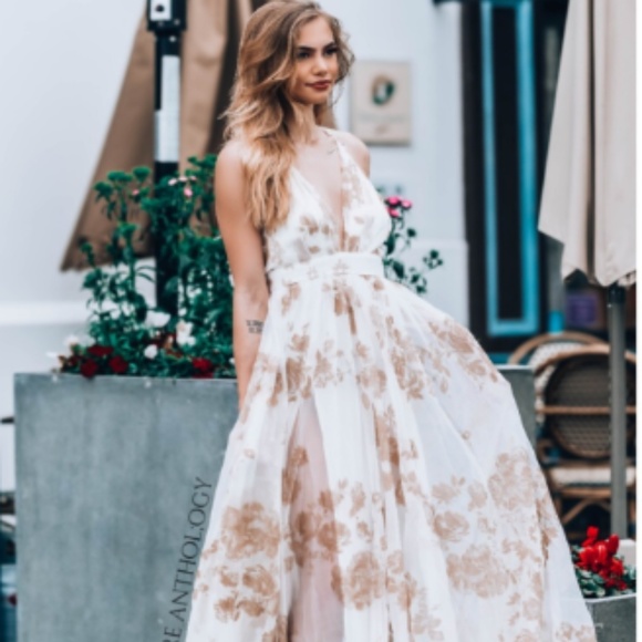 LAST ONE ‼️BEAUTIFUL Tulle Velvet Maxi Dress - Picture 6 of 8